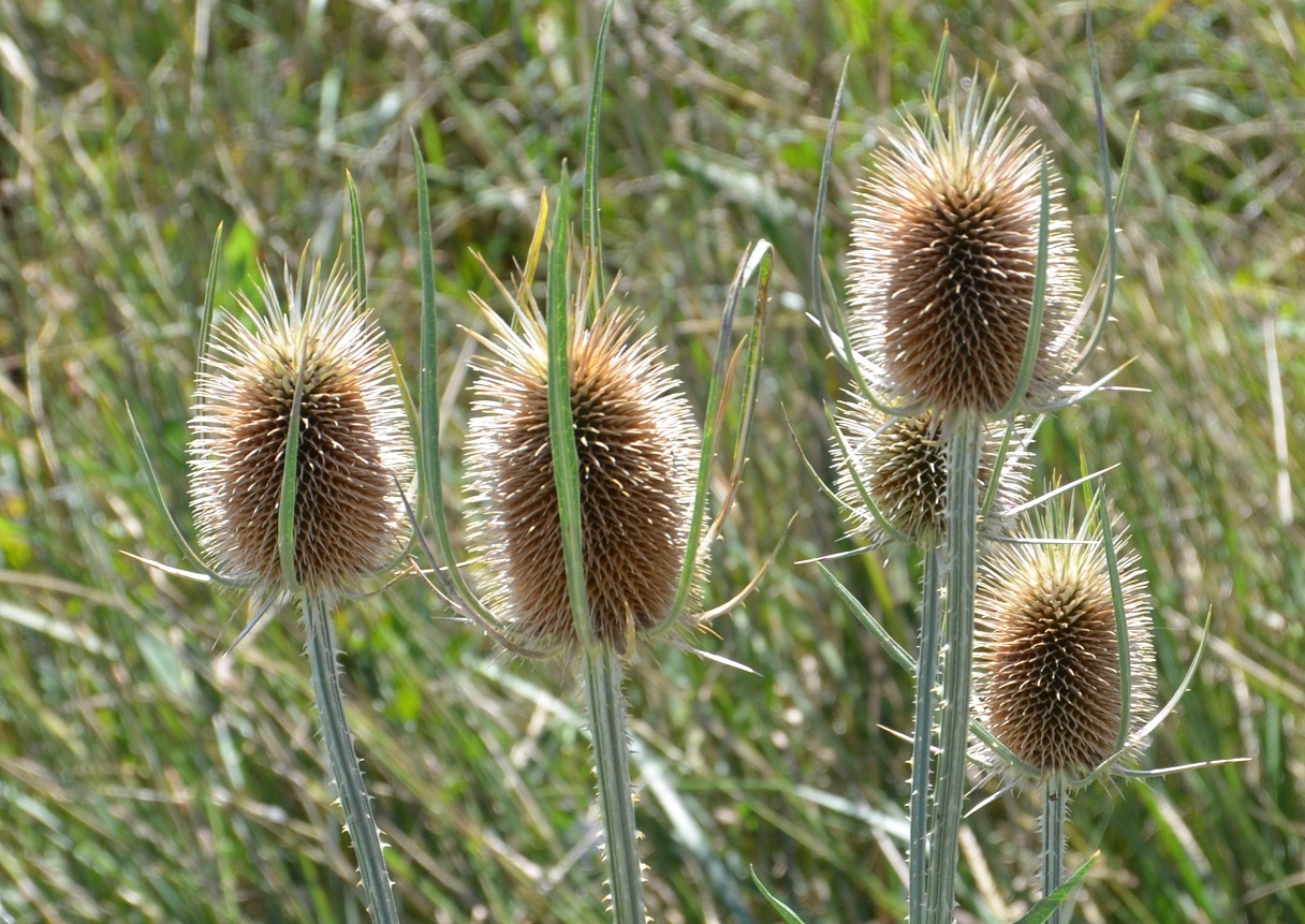 No s'ha trobat l'arxiu